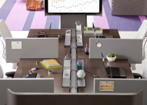 Divisio desk top screen for privacy