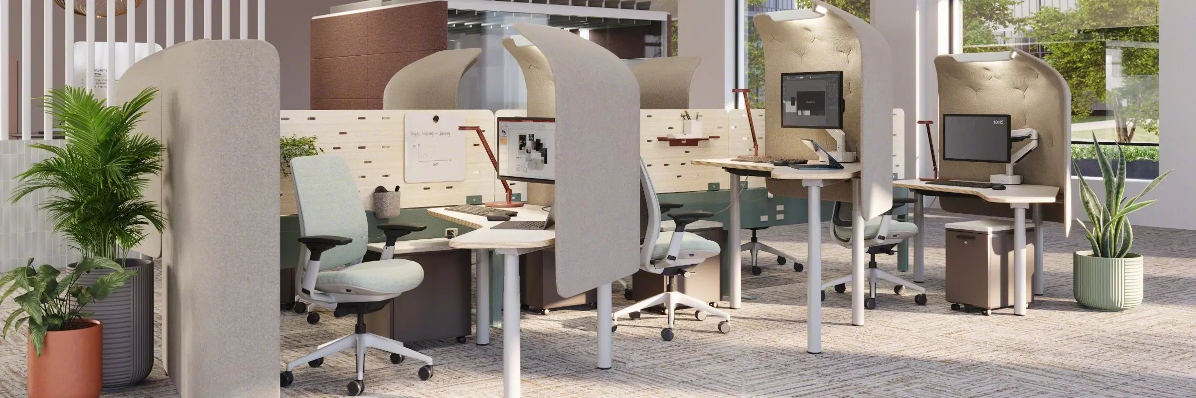 Plants in Commercial Office